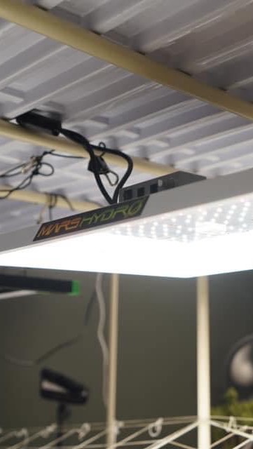 ไฟปลูก อุปกรณ์ปลูก ของใหม่-มือสอง ลดราคา (จากกลุ่มในเฟส)