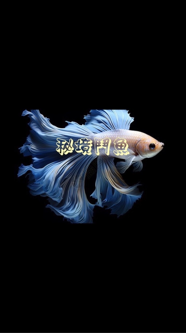 秘境鬥魚