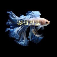 秘境鬥魚｜賞魚區