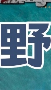好野人淨灘活動