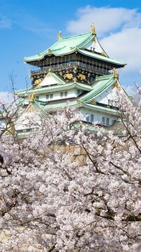 大阪支部４月期新採オプチャ