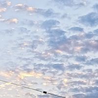 同性社~（歡迎同性戀）不可以玩門！