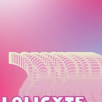 Lolicxte สินค้ามือสองนำเข้าจากญี่ปุ่น