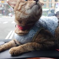 九九六們的旅遊手札