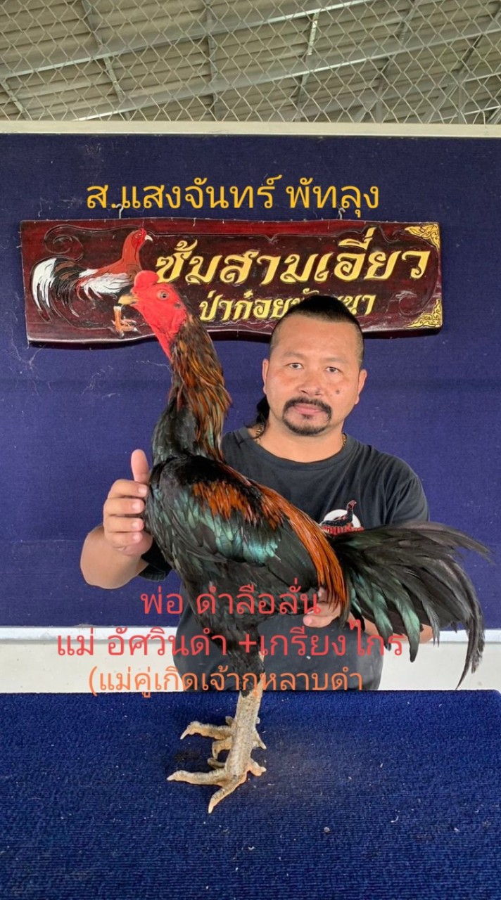 ส.แสงจันทร์ พัทลุง