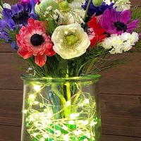 『anemone』～腸管不全、在宅点滴患者会～