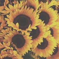 ひまわりサロン🌻メンバー限定