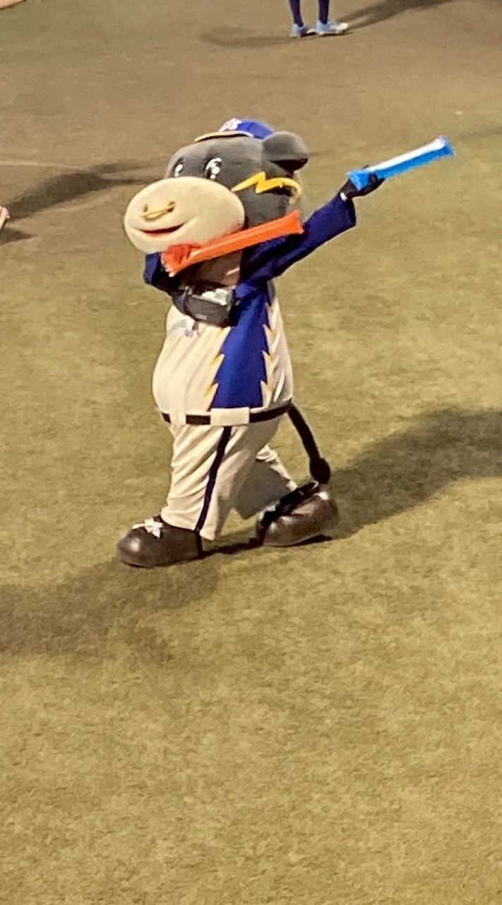 ソフトボールを大阪近隣で楽しむ会