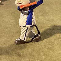 ソフトボールを大阪近隣で楽しむ会