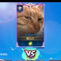 傳說鴨西八