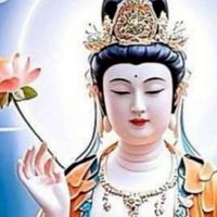 🔱音樂 好文 好物愛分享