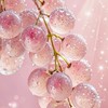 デイトレ、スイング😊国内株　女性のみの部屋💓