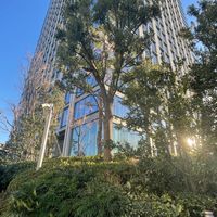整形•骨延長•歯 •頭蓋骨の情報交換