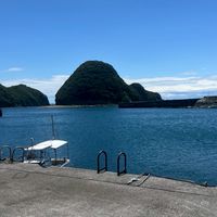 【周木×大学生】活動情報