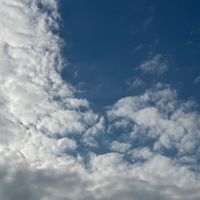 今入ったら古参。目指せ5000---。