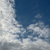 今入ったら古参。目指せ5000---。