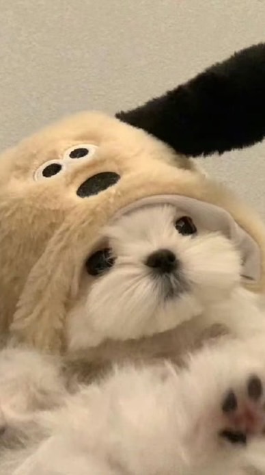 校園大小事