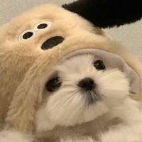 校園大小事