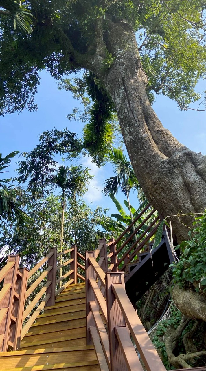 安靖古道-錦湖園