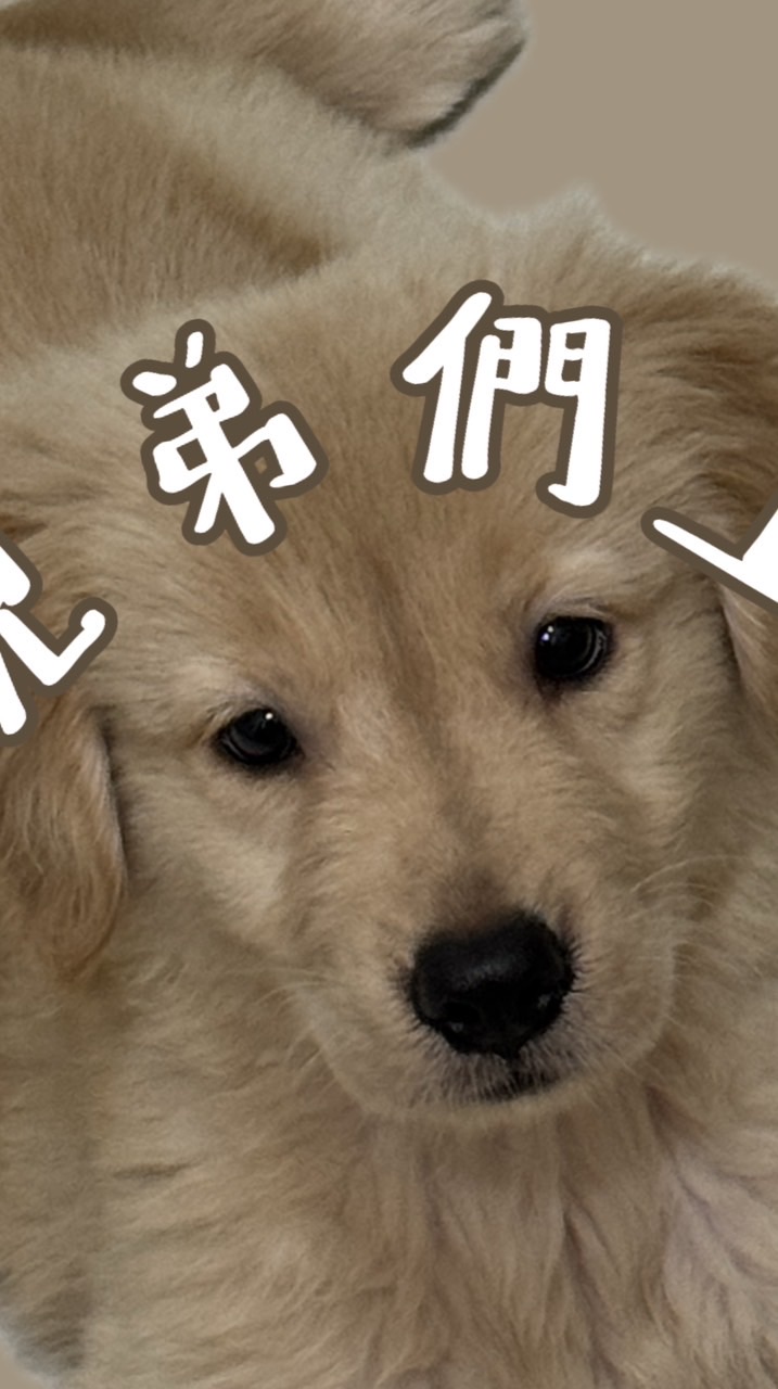 狗叫幫