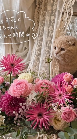 YUMIKO塾インスタ部屋