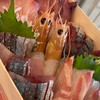 花食間晚間生魚片