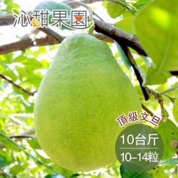 [沁甜果園SSN]台南麻豆頂級文旦10-14粒裝/10台斤