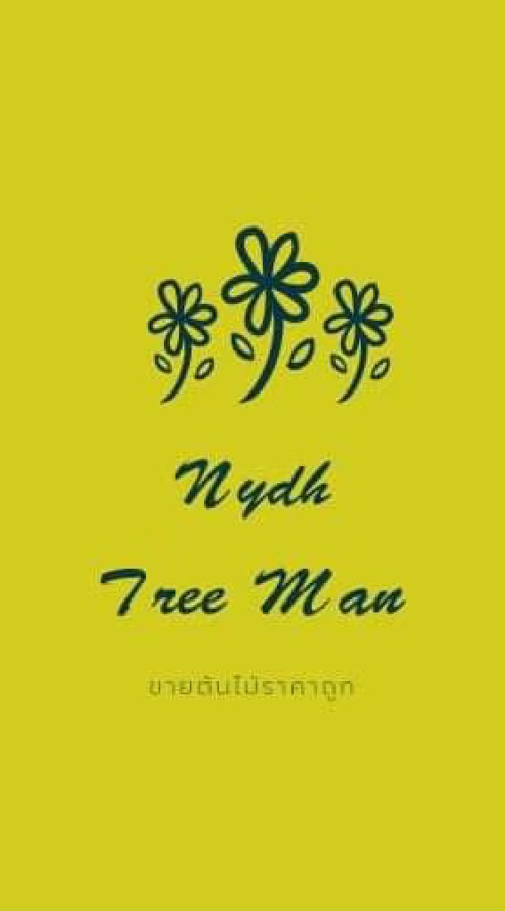 Nydh Tree Man ร้านขายต้นไม้ราคาถูก