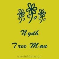Nydh Tree Man ร้านขายต้นไม้ราคาถูก
