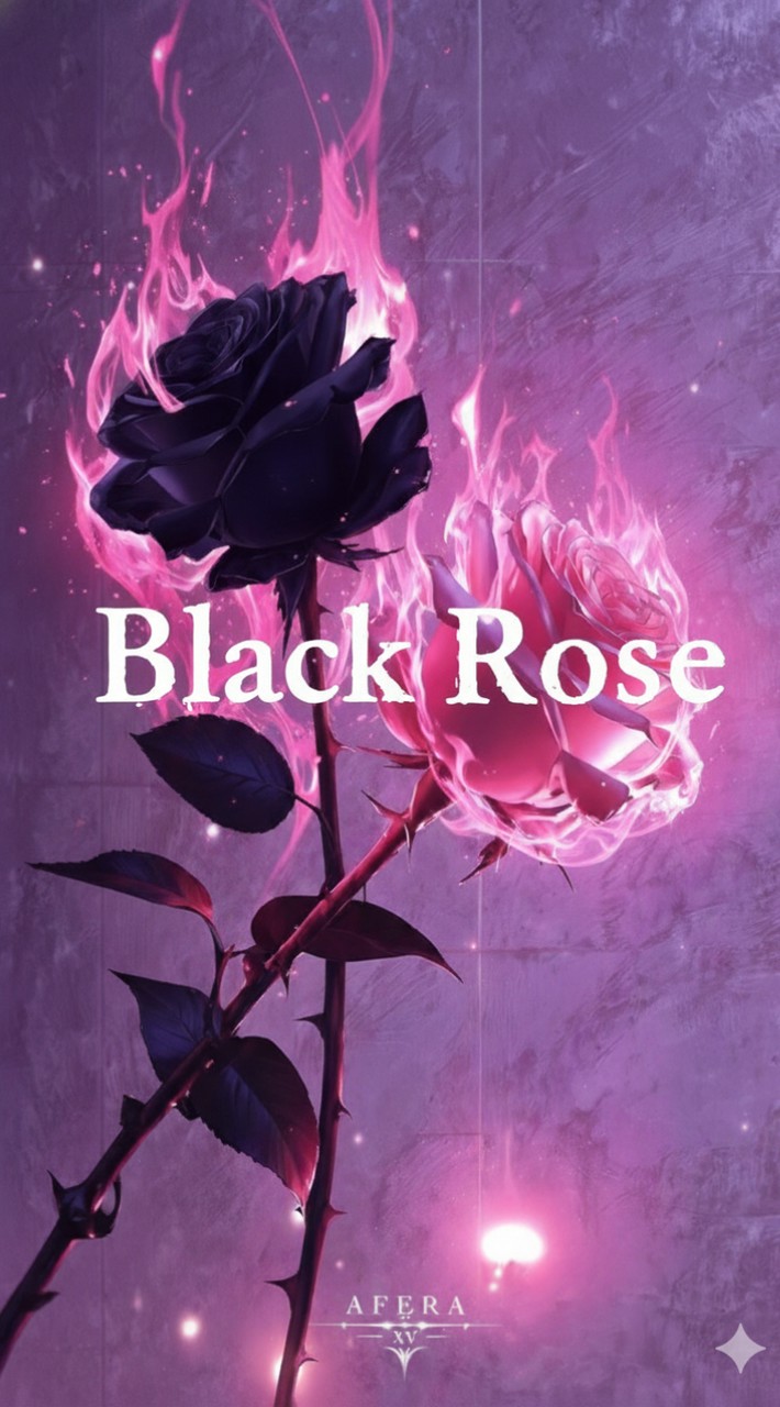 Black Rose 🥀