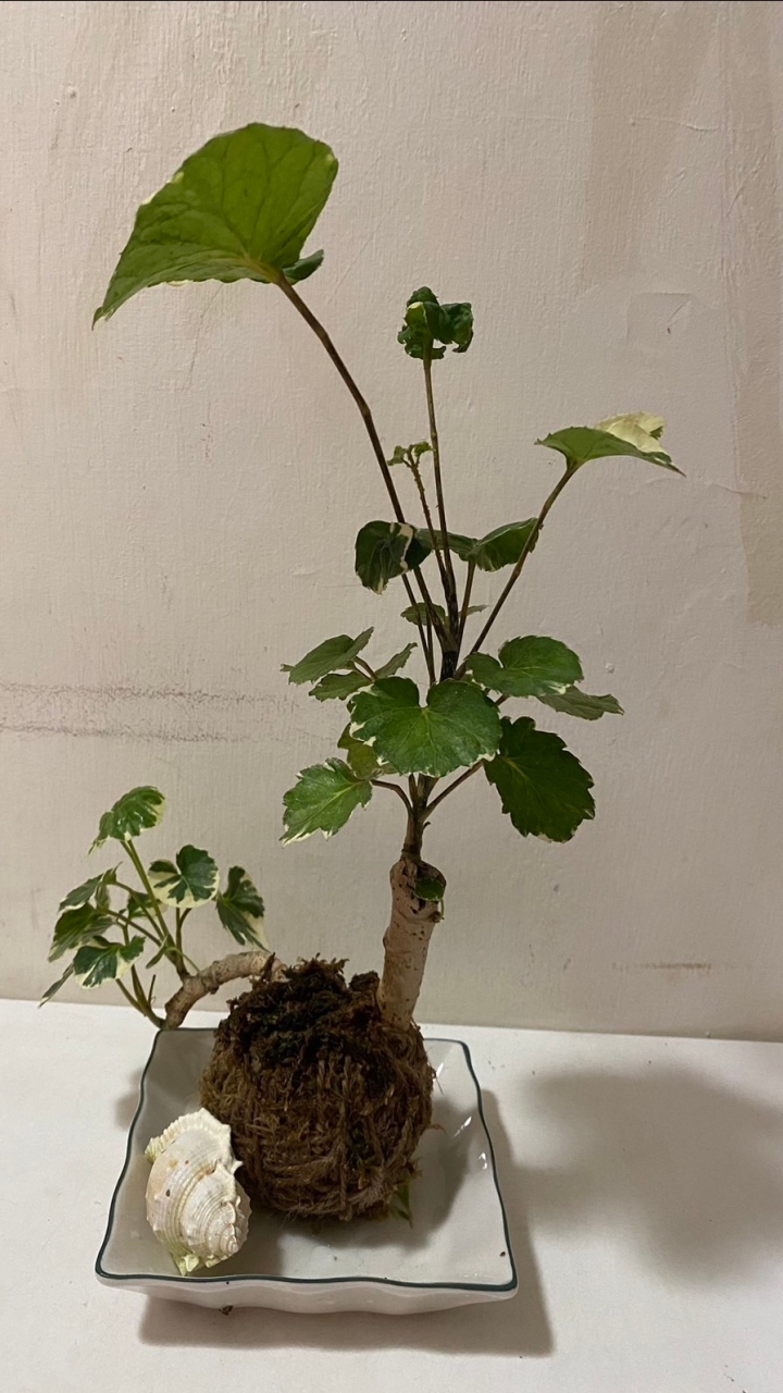 靜知源學苑