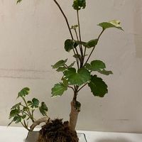靜知源學苑