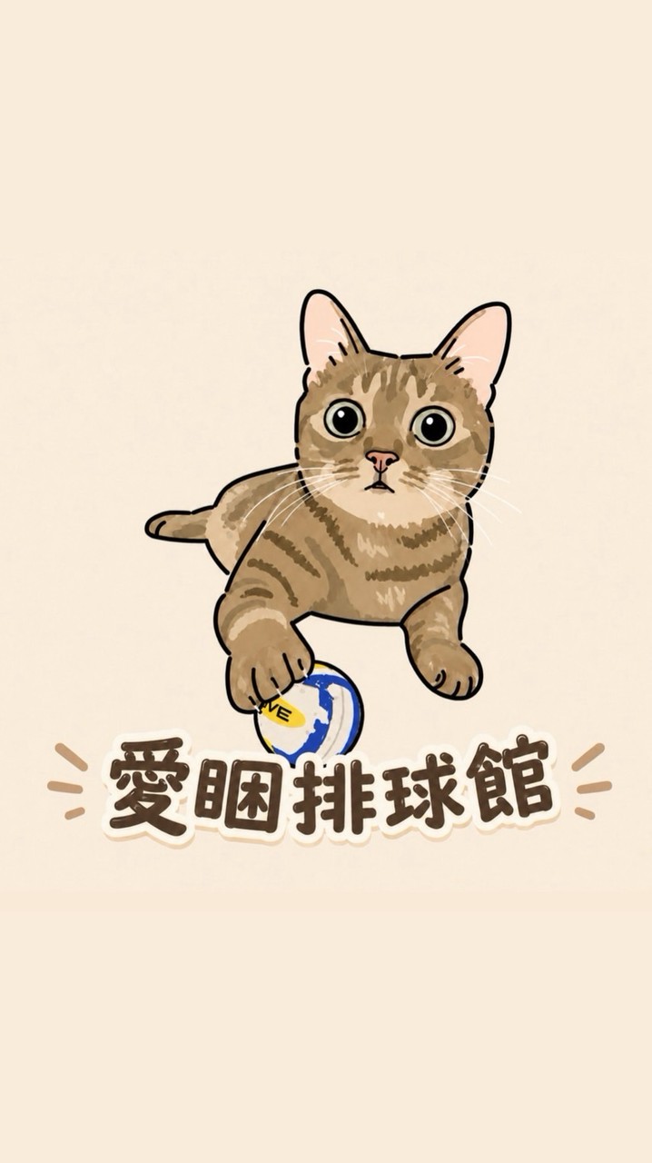 愛睏排球館