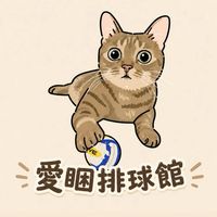 愛睏排球館