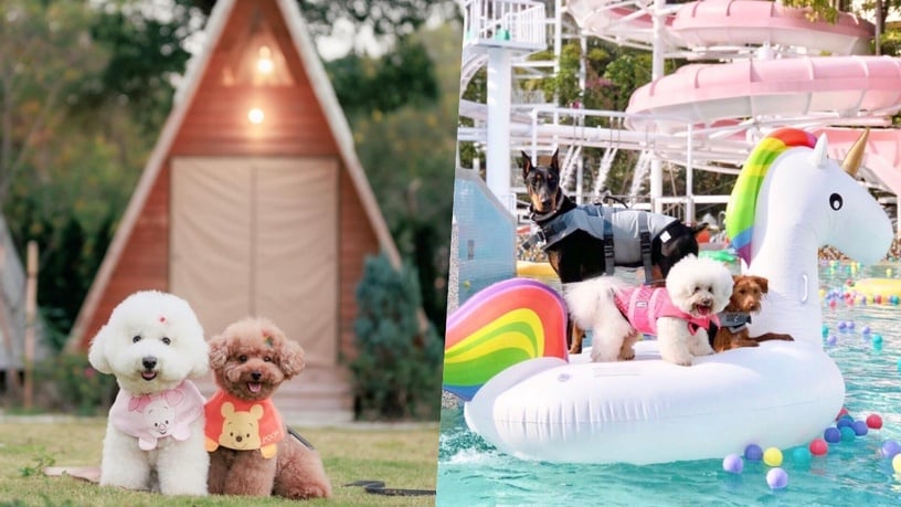 台中露營｜10間「2022台中露營」推薦，IG超夯打卡景點、湛藍大海就在眼前！