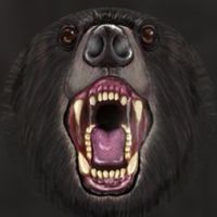 📣クマ出没速報🚨　ツキノワグマ ヒグマ