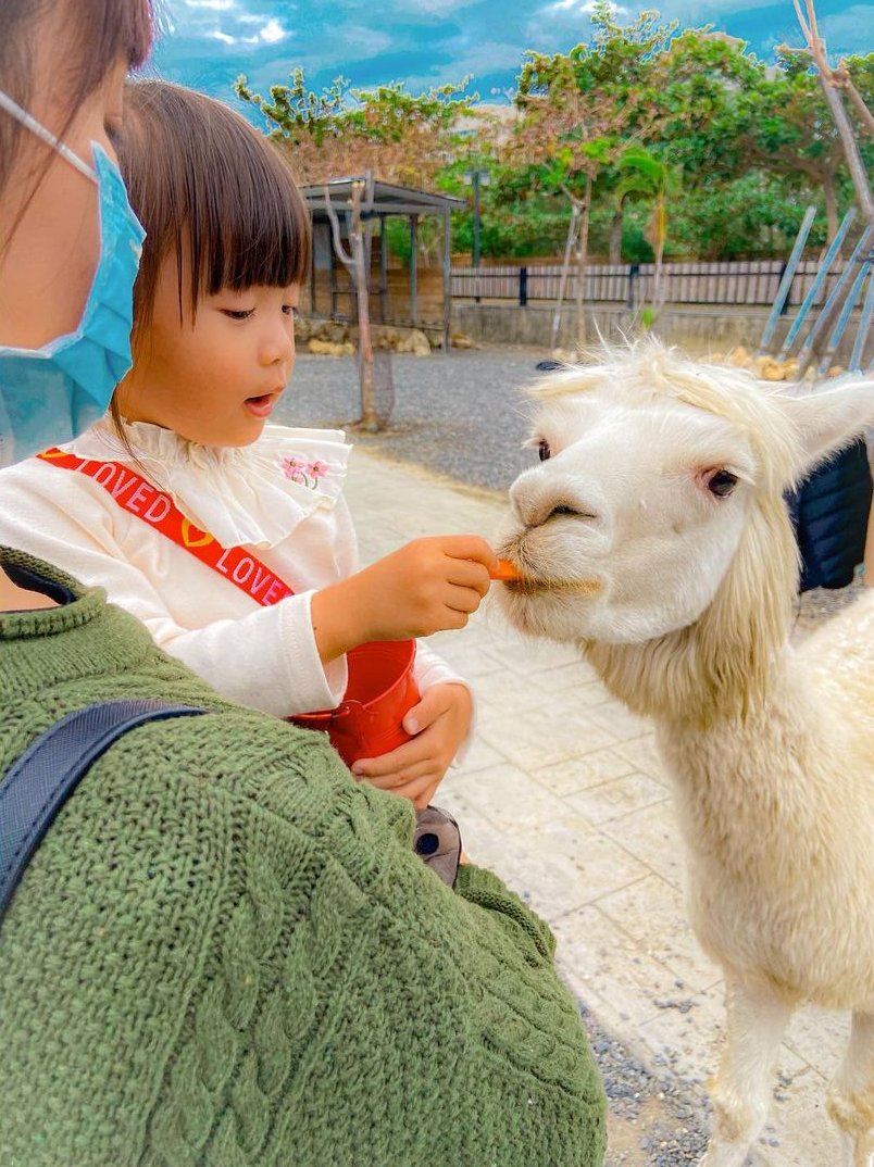 墾草趣 @sssbly422(1)