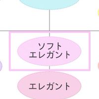 ソフトエレガント