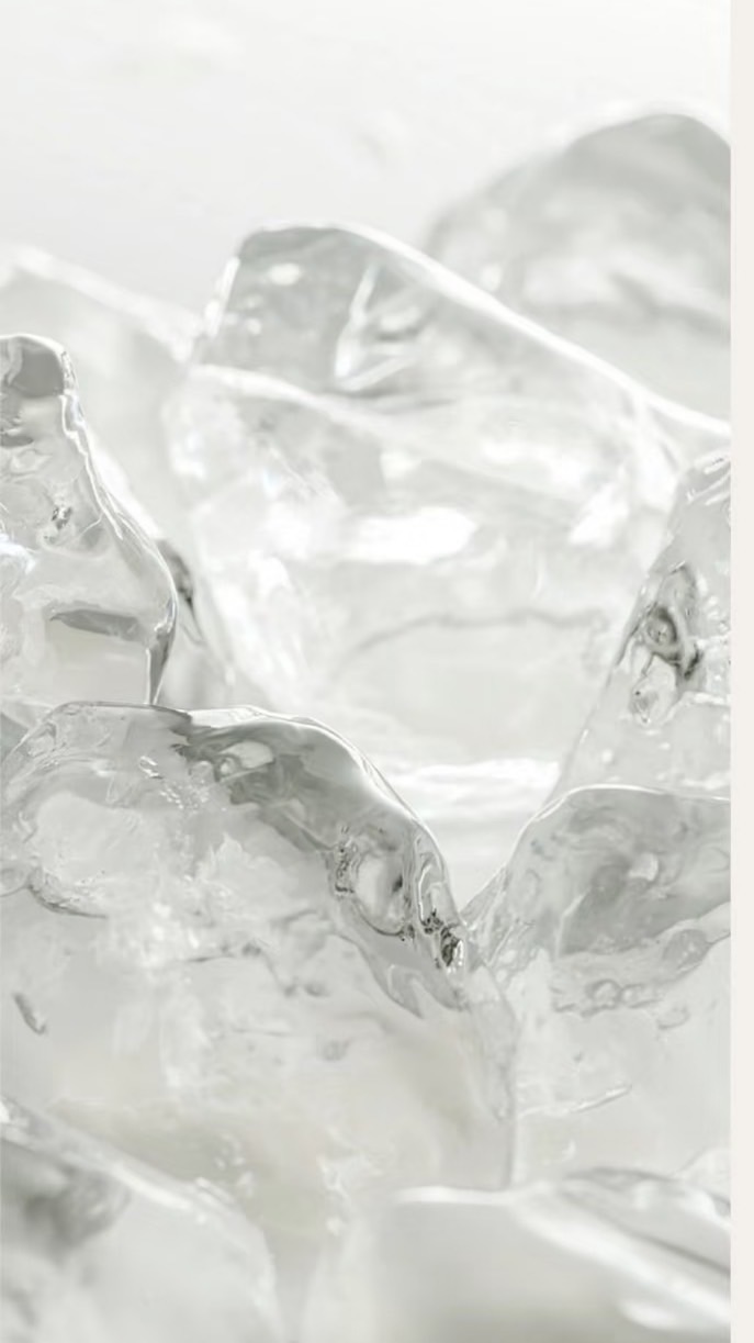 小步日常好夥伴