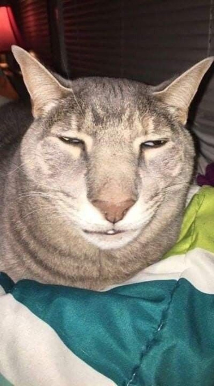 เกตับๆ