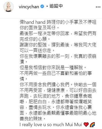 愛犬懷中離世泳兒崩潰痛哭衛詩雅感謝愛貓17年相伴 願下輩子再相遇 明報 Line Today