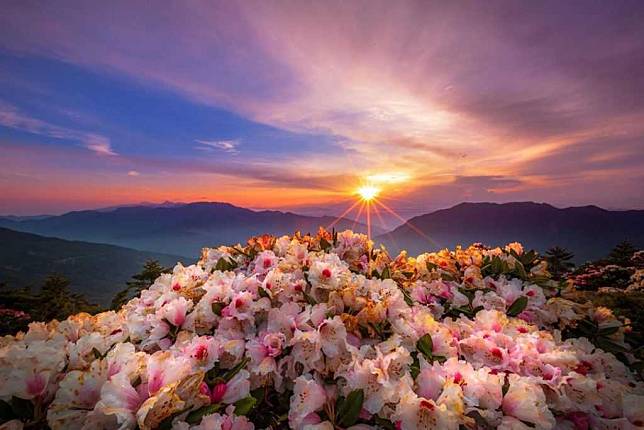 照片來源：IG ＠qwe0088516