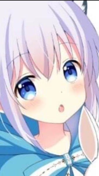 チノちゃん
