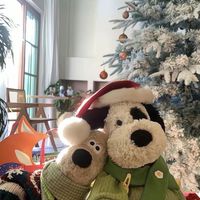 🐰🐰Abby二手歡樂賣 ¨̮♡︎