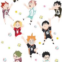 排球少年出清（9/15台中）