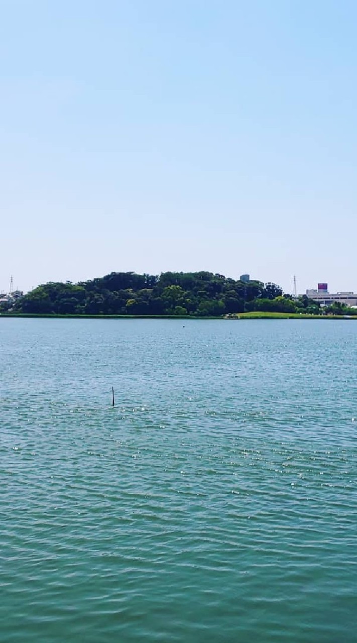 佐鳴湖でウォーキング