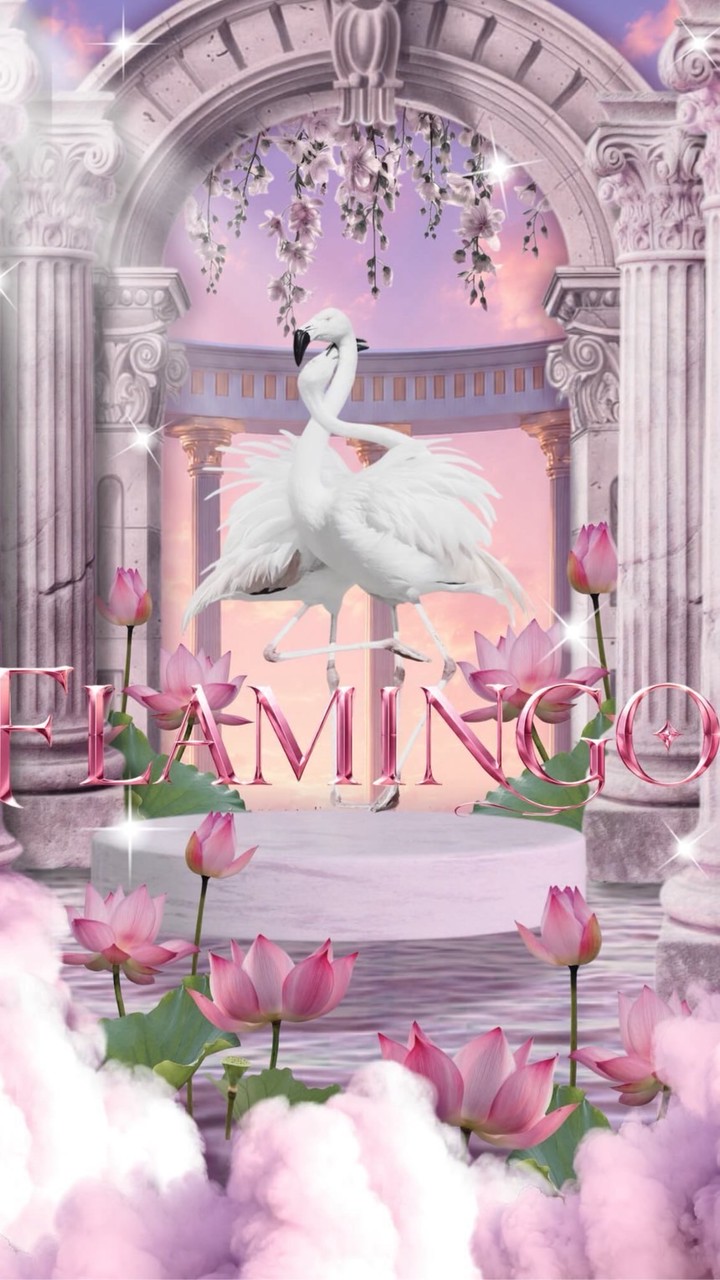 FlamingoNo.3_BYSR