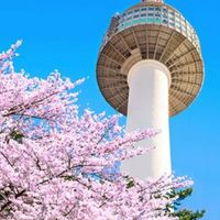 ชวนเพื่อนเที่ยวเกาหลี-ต่างประเทศ ✈️💨☺️