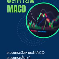 รู้จุดเข้าทำกำไรด้วยระบบเทรด3สหายxMACD