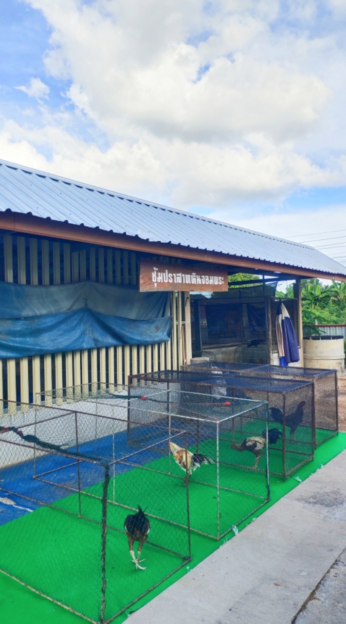 ไก่ชนปราสาทหินจอมพระ